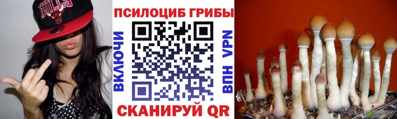 Псилоцибиновые грибы Psilocybe  hydra ONION  Гаврилов-Ям 